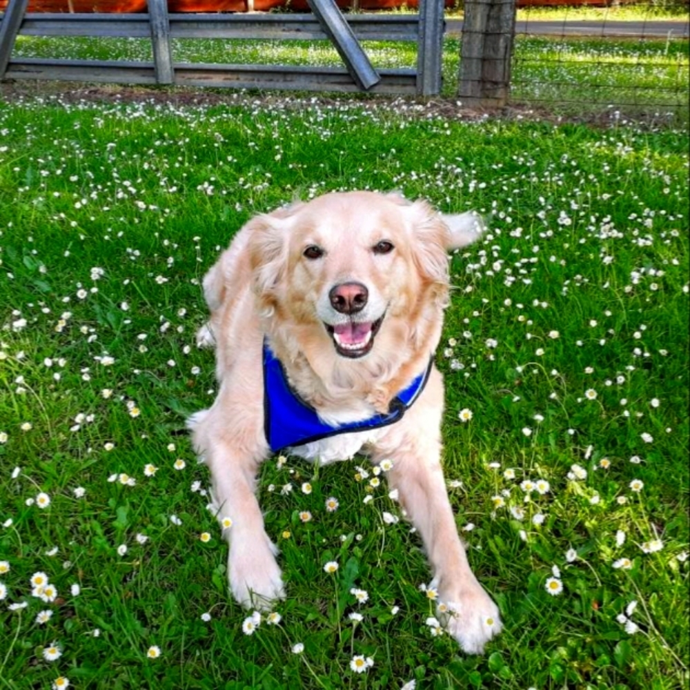 Meet your Posher, Marianne